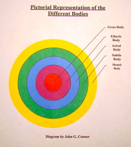 Pictorial Representation of the Different Bodies